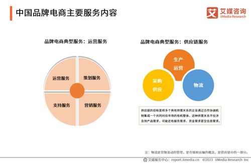 2023年中国品牌电商服务行业研究报告 信息咨询服务引领新增长